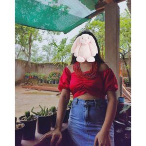 Red Satin Puff Sleeve Top