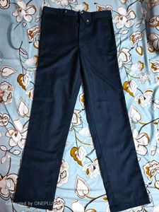 Men's Navy Blue Slim Fit Chinos