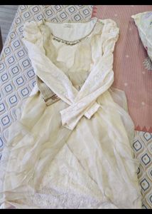 Elegant Lace stylish Dress