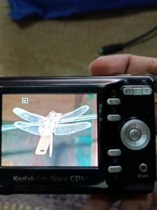 Kodak Camera