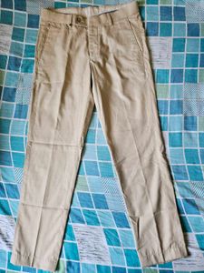 Turtle Beige Formal Pant