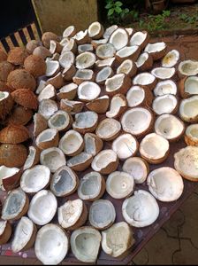 Pure Coconut Oil 🥥 Homemade 750 ml