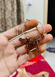 Brown Crystal Hoop Earrings