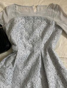 Elegant Lace Overlay Dress ( item is thrifted)