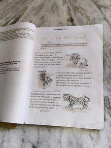 Sanchayan Bhag 2 Hindi Textbook and First Flight c
