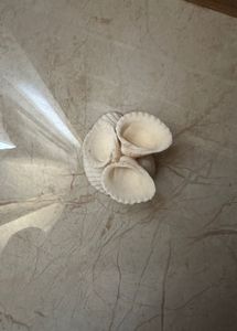 original Seashell jewellery Dish