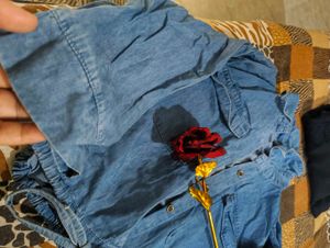 Stylish Blue Denim top