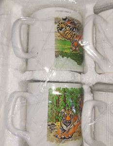 Wildlife Craft Collection 👌