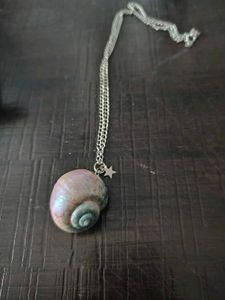 Enchanting Spiral Seashell Necklace