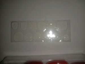 Artificial Nails With Nail Tabs