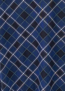 Blue Plaid Skirt