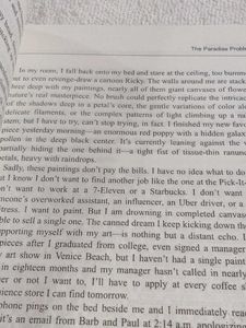 The Paradise Problem by Christina Lauren