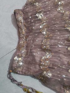 Embellished Lehenga Choli Set