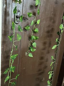 Decor Money Plan Leaves Shurb (2 Ladi )