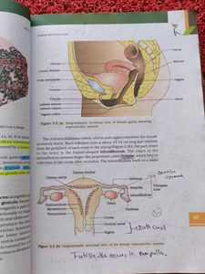 Karnataka Biology II PUC Textbook