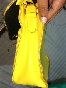 Handbag