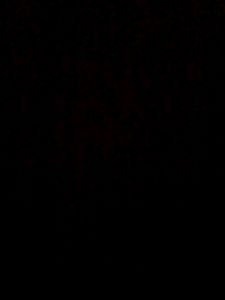Test B1
