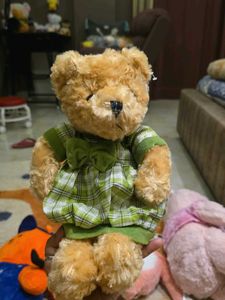 Adorable Teddy Bear in Green Plaid Dress