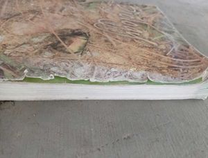 Biology Textbook for Class XI