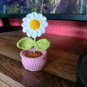 Crochet Daisy Flower Pot