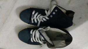 Shoe Roadster