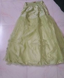Elegant Pastel Green Lahenga Choli ..!!