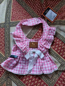 Dog clothing and toy combo