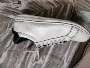 Myntra branded White Sneakers