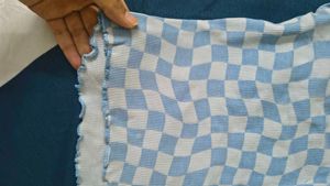 Blue Checkered Cropped Top