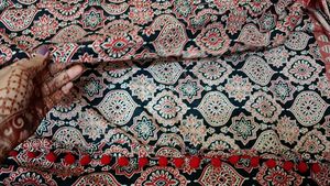 Beautiful Printed ajrakh kalamkari Saree