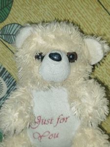 Cute Cream Teddy Bear