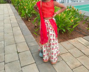 Designer Lehenga Choli Set