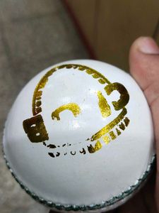 lether ball white.. duse bal