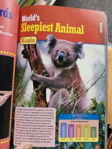 Scholastic Book of World Records 2006