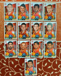 IPL 2014 PUNJAB AND SRH TEAMS