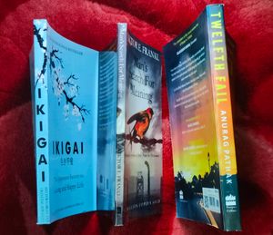 NRB HUB BOOKS SALE: Combo Of 3 Premium Novels