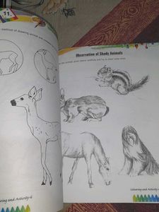 Colouring and Activity Book
