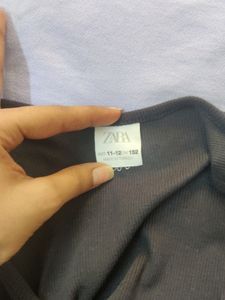 Palm Cove Cropped Tank
