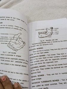 Human Anatomy &amp; Physiology Book