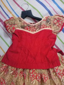 Embroidered Red and Gold Lehenga Choli