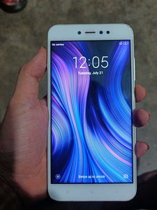 Redmi y1