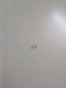 Gold Nose Pin piece broken