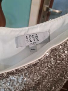 Sequin Skirt