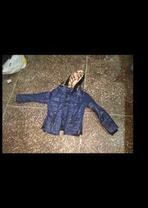 Winter Jacket Hoody Short Korean