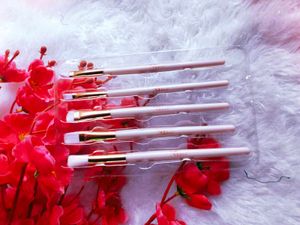 Professional Eye Brush Set