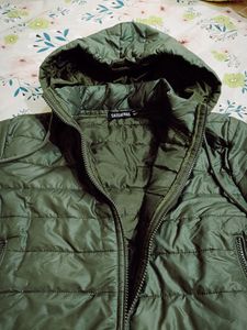 Sassafras Bomber Jacket For Women