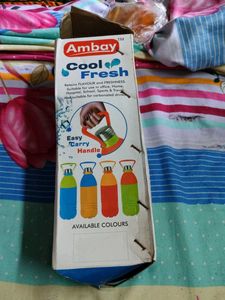 Insulated Water Bottle