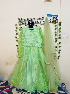 Beautiful Green Lehnga Choli