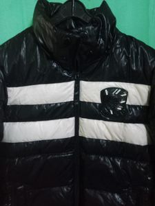 Puffy Jacket