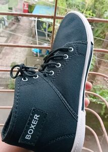 BOXER SHOES 